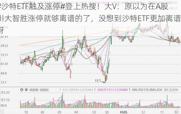 #沙特ETF触及涨停#登上热搜！大V：原以为在A股川大智胜涨停就够离谱的了，没想到沙特ETF更加离谱呀