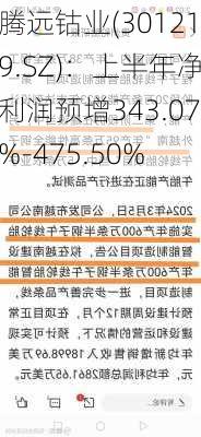 腾远钴业(301219.SZ)：上半年净利润预增343.07%-475.50%