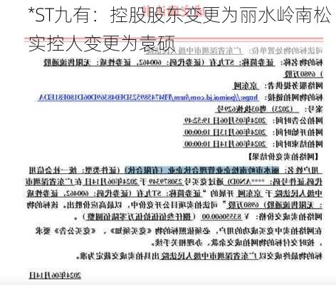 *ST九有：控股股东变更为丽水岭南松 实控人变更为袁硕