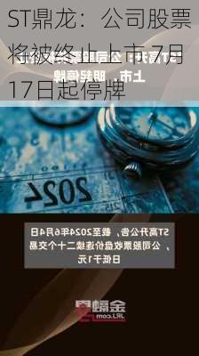 ST鼎龙：公司股票将被终止上市 7月17日起停牌