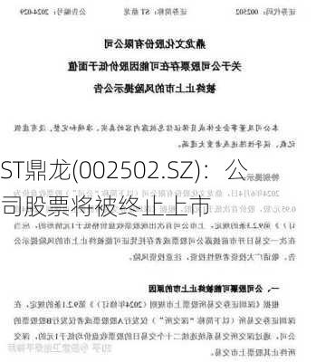 ST鼎龙(002502.SZ)：公司股票将被终止上市