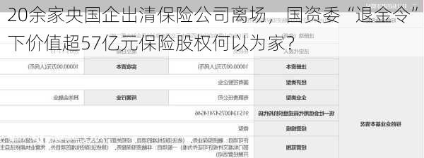 20余家央国企出清保险公司离场，国资委“退金令”下价值超57亿元保险股权何以为家？