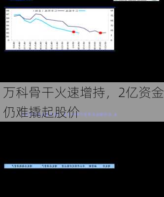 万科骨干火速增持，2亿资金仍难撬起股价