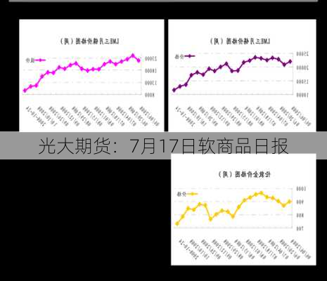 光大期货：7月17日软商品日报