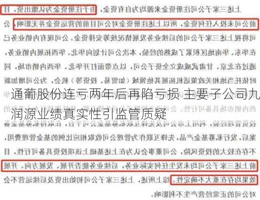 通葡股份连亏两年后再陷亏损 主要子公司九润源业绩真实性引监管质疑