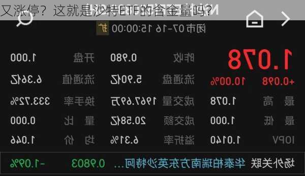 又涨停？这就是沙特ETF的含金量吗？