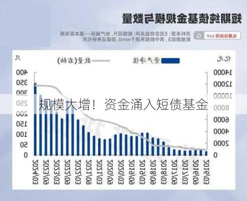 规模大增！资金涌入短债基金