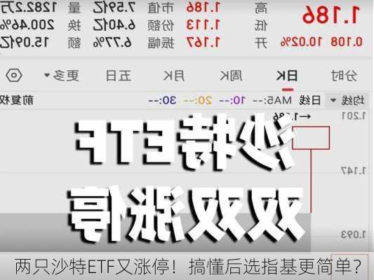 两只沙特ETF又涨停！搞懂后选指基更简单？