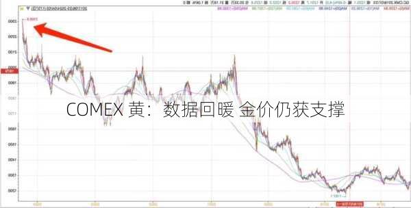 COMEX 黄：数据回暖 金价仍获支撑