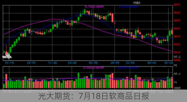 光大期货：7月18日软商品日报