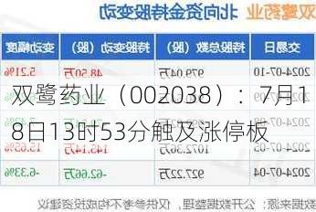 双鹭药业（002038）：7月18日13时53分触及涨停板