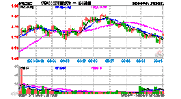 “国家队”二季度增持曝光，易方达、华夏、嘉实三只沪深300ETF很受宠