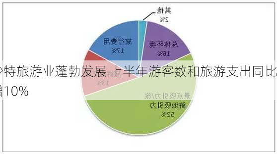 沙特旅游业蓬勃发展 上半年游客数和旅游支出同比增10%