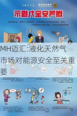 MH迈汇:液化天然气市场对能源安全至关重要