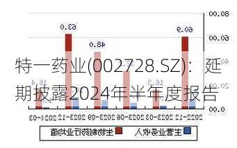 特一药业(002728.SZ)：延期披露2024年半年度报告