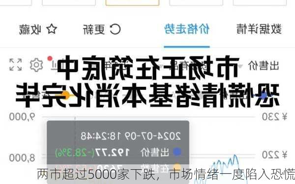 两市超过5000家下跌，市场情绪一度陷入恐慌