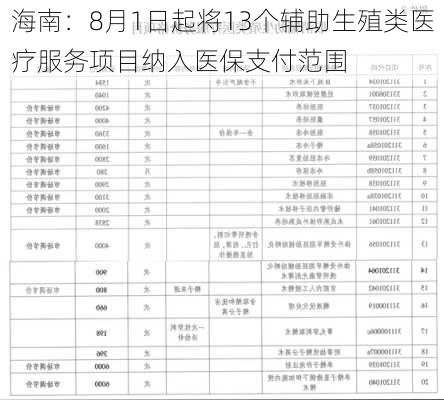 海南：8月1日起将13个辅助生殖类医疗服务项目纳入医保支付范围