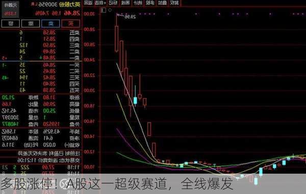 多股涨停！A股这一超级赛道，全线爆发