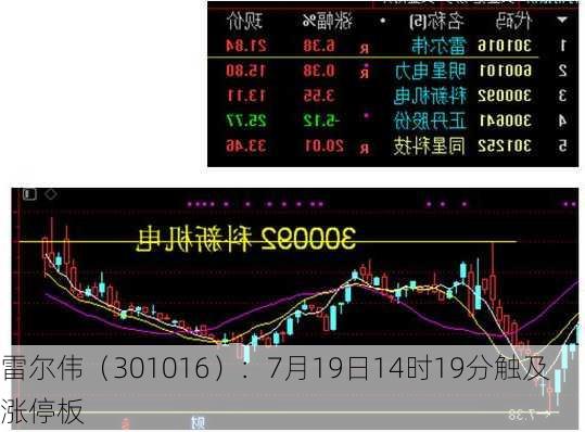 雷尔伟（301016）：7月19日14时19分触及涨停板