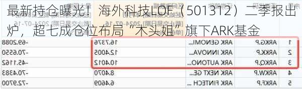 最新持仓曝光！海外科技LOF（501312）二季报出炉，超七成仓位布局“木头姐”旗下ARK基金