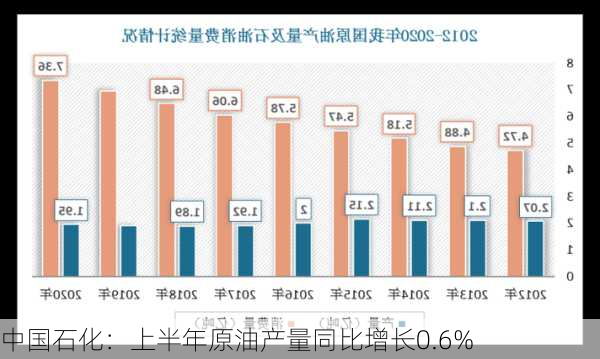 中国石化：上半年原油产量同比增长0.6%