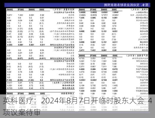 英科医疗：2024年8月7日开临时股东大会  4项议案待审