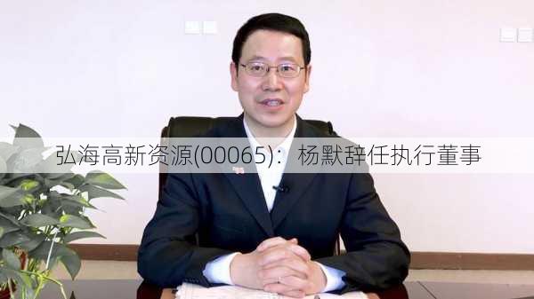 弘海高新资源(00065)：杨默辞任执行董事