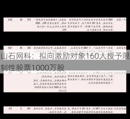 山石网科：拟向激励对象160人授予限制性股票1000万股