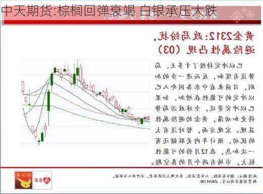 中天期货:棕榈回弹衰竭 白银承压大跌