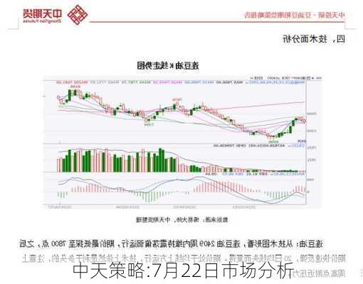 中天策略:7月22日市场分析