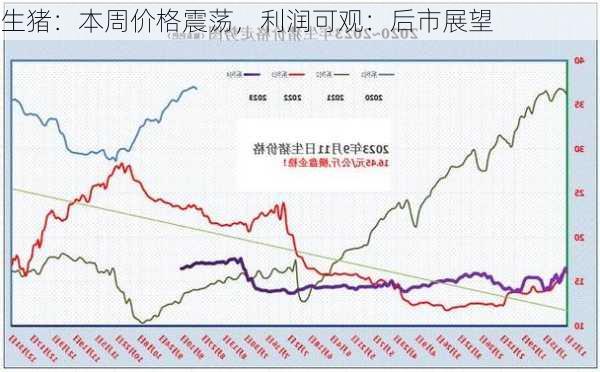 生猪：本周价格震荡，利润可观：后市展望