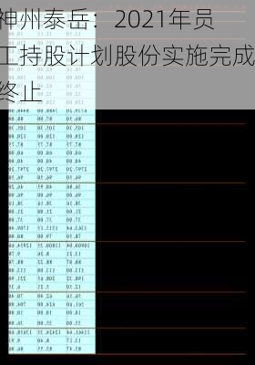 神州泰岳：2021年员工持股计划股份实施完成终止