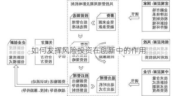 如何发挥风险投资在创新中的作用