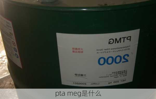 pta meg是什么