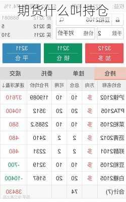 期货什么叫持仓