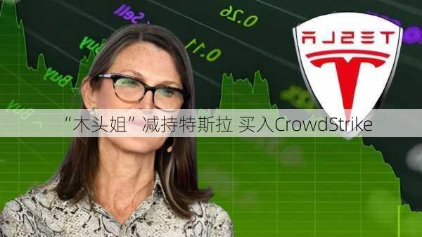 “木头姐”减持特斯拉 买入CrowdStrike