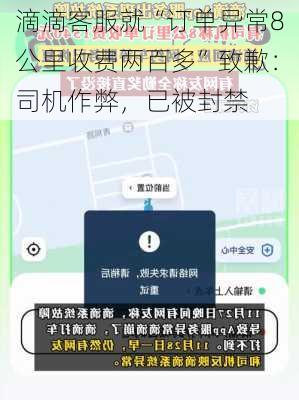 滴滴客服就“订单异常8公里收费两百多”致歉：司机作弊，已被封禁