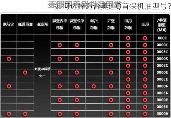 如何选择适合奥迪Q首保机油型号？