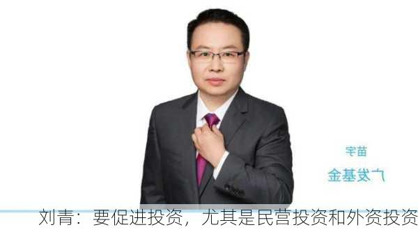 刘青：要促进投资，尤其是民营投资和外资投资