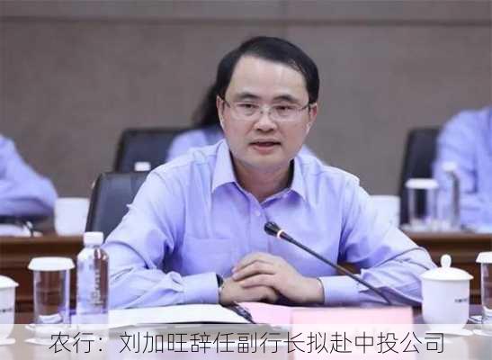 农行：刘加旺辞任副行长拟赴中投公司