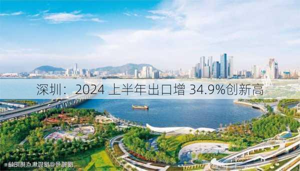 深圳：2024 上半年出口增 34.9%创新高