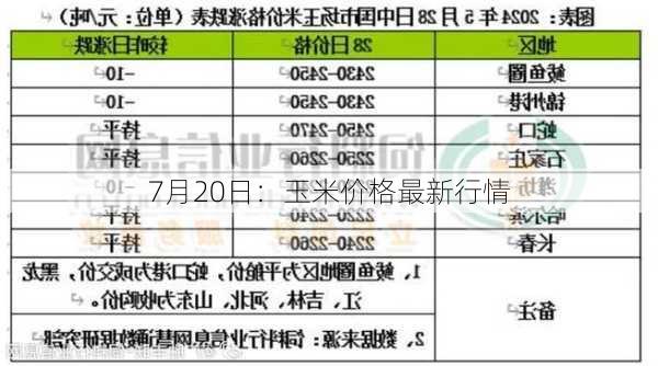 7月20日：玉米价格最新行情