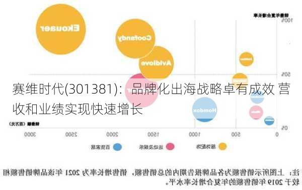 赛维时代(301381)：品牌化出海战略卓有成效 营收和业绩实现快速增长