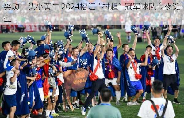 奖励一头小黄牛 2024榕江“村超”冠军球队今夜诞生