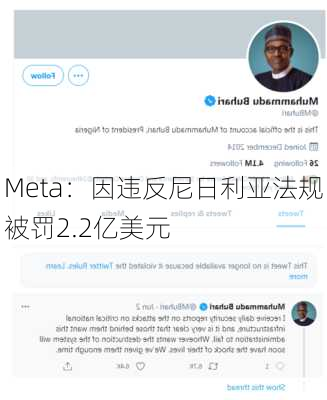 Meta：因违反尼日利亚法规被罚2.2亿美元