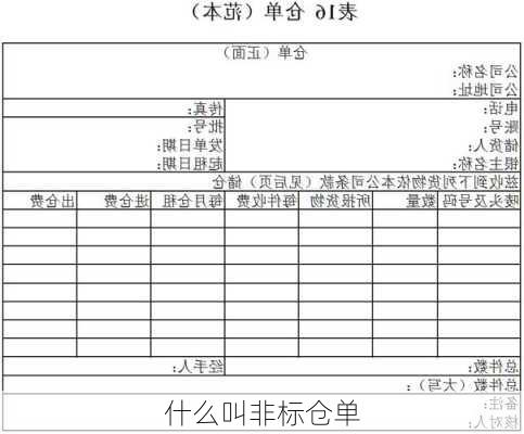 什么叫非标仓单