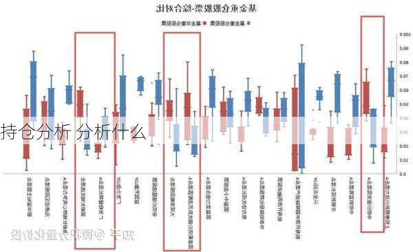 持仓分析 分析什么