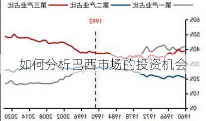 如何分析巴西市场的投资机会