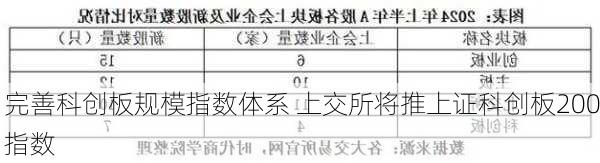 完善科创板规模指数体系 上交所将推上证科创板200指数