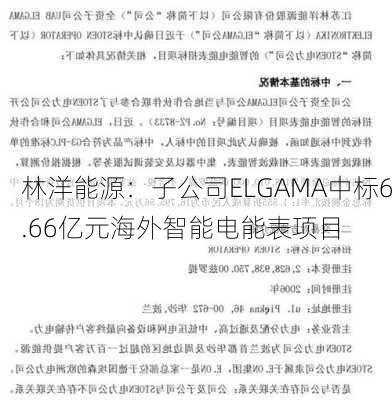 林洋能源：子公司ELGAMA中标6.66亿元海外智能电能表项目